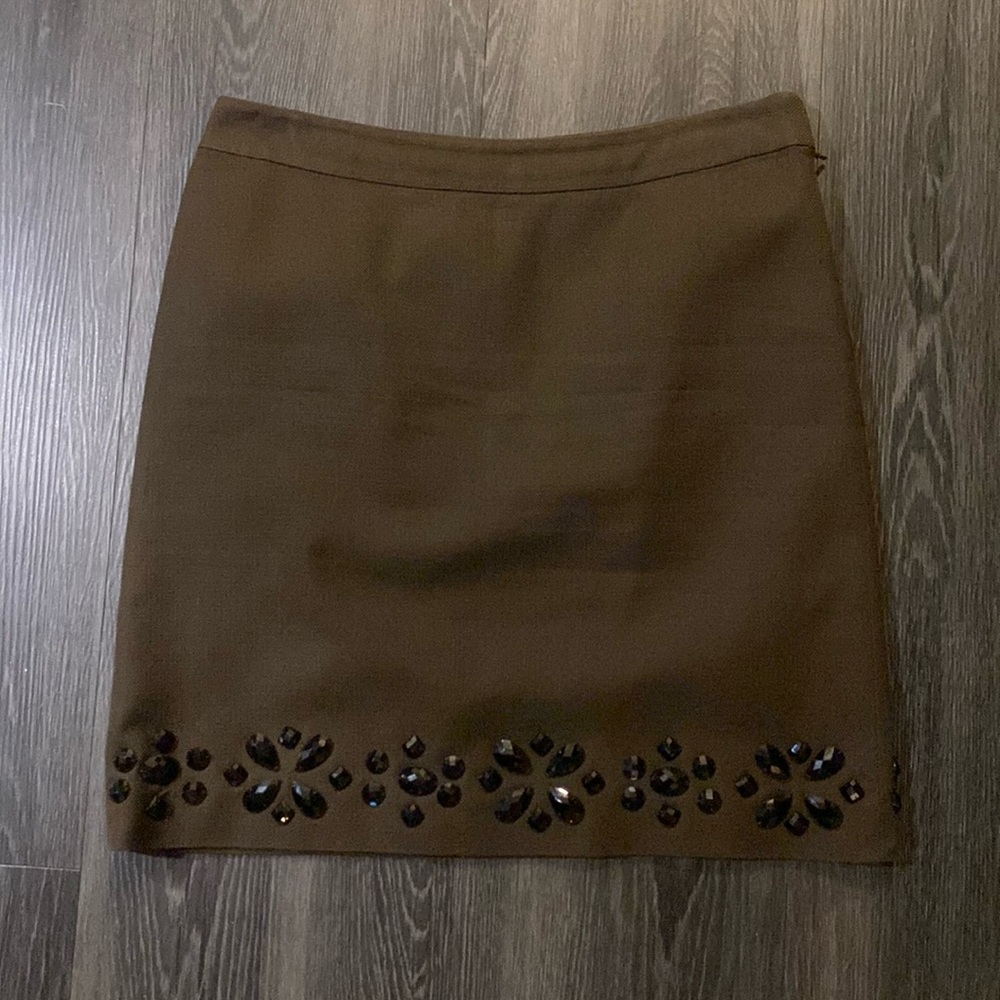 Ann Taylor skirt